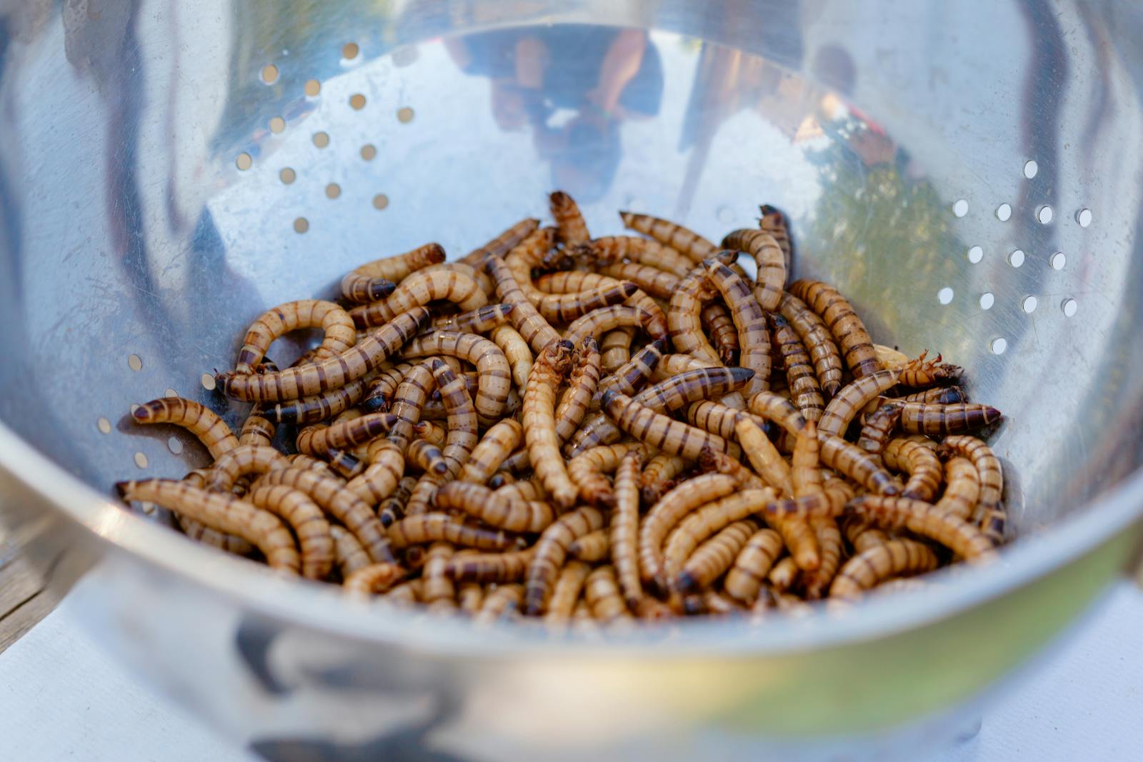 Live worms in rice spark widespread inspections across shops in Victor Khanye Municipality