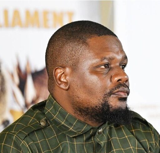 Mswati defies critics on call to resign