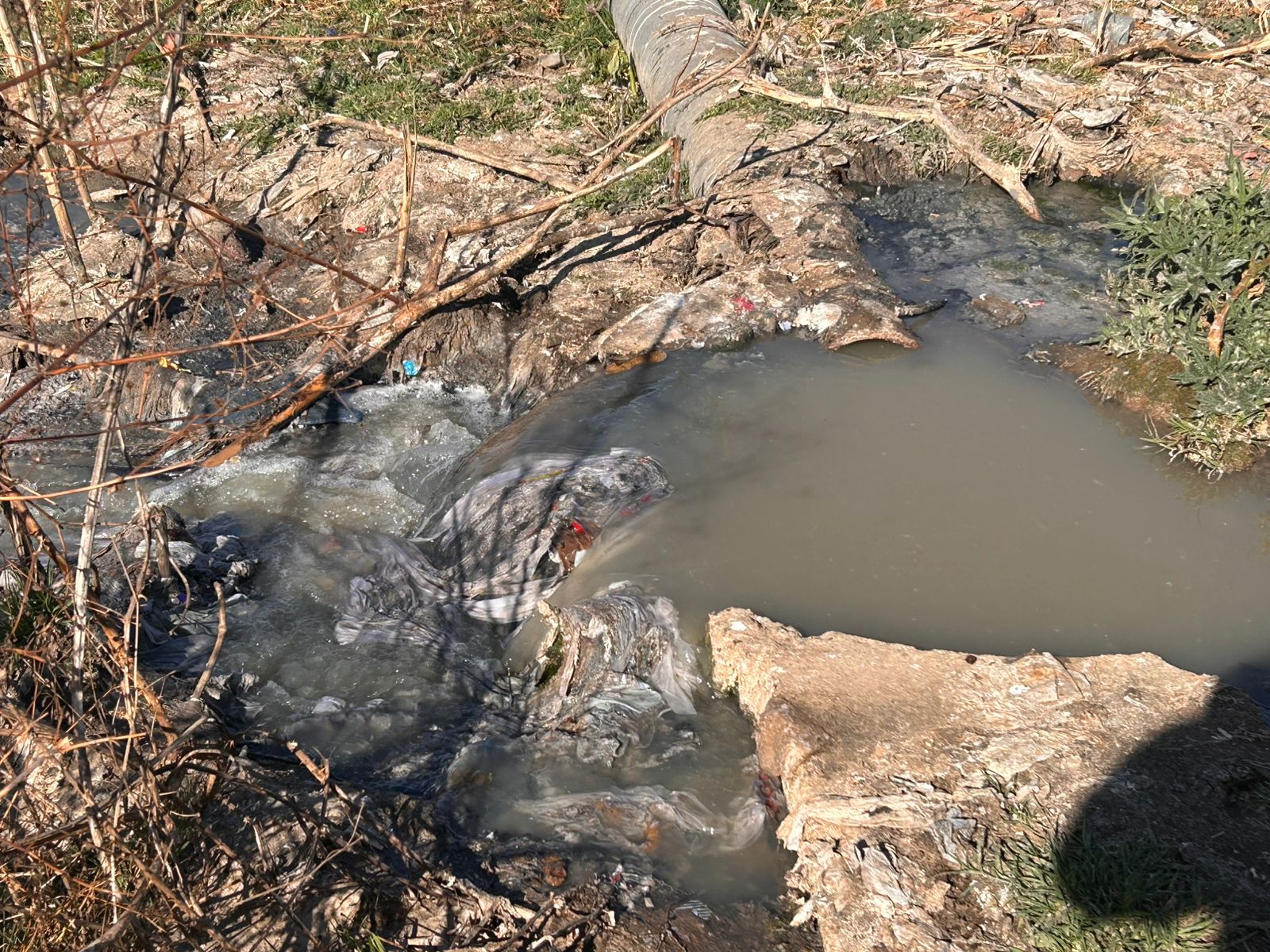 Steve Tshwete blames broken truck as sewage flows into drinking water source