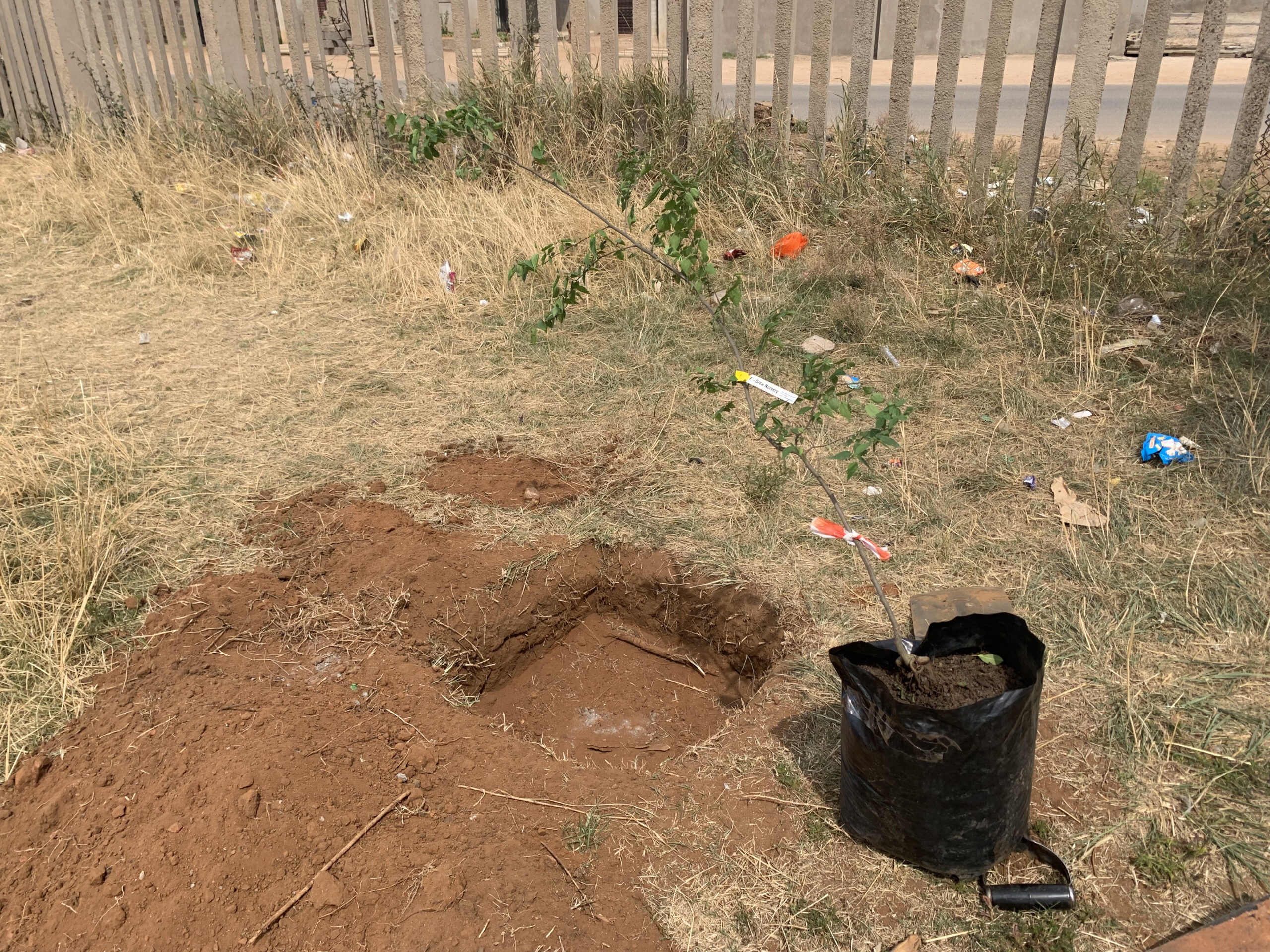  eMalahleni, Victor Khanye municipalities join DFFE’s One Million Trees Campaign